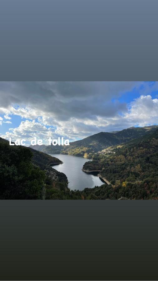Magnifique Villa Recente Entre Mer Et Montagne Situee Entre Ajaccio Et Porticcio Cauro Экстерьер фото